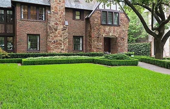 Green landscaping maintenance and design